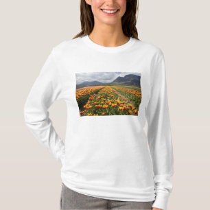 T-shirts Fazenda de Tulipas perto de Agassiz, Colúmbia Brit