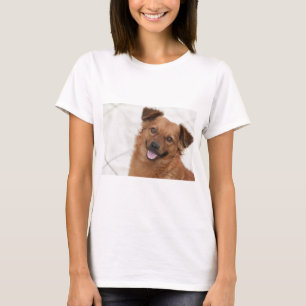 T-shirts Feliz Cachorro Marrom