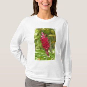 T-shirts Fiji, Ilha Viti Levu. Flor.