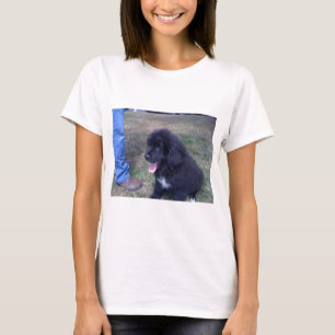 T-shirts Filhote de cachorro bonito de Newfie (raça do cã