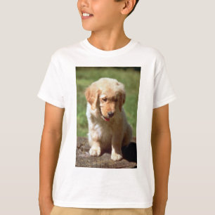 T-shirts Filhote de cachorro do golden retriever