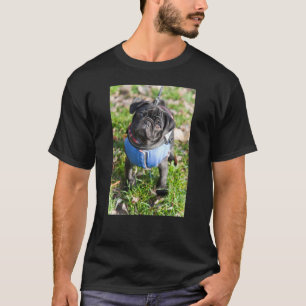 T-shirts Filhote de cachorro preto do Pug que veste uma
