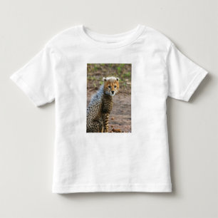 T-shirts Filhote de Guepardo Acinonyx Jubatus)