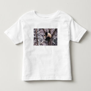 T-shirts Filhote de panda brincando em árvore coberta de ne