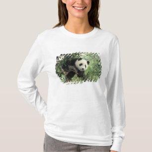 T-shirts Filhote de Panda Gigante sobe em uma árvore, Vale