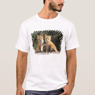 T-shirts Filhote de Raposa Vermelha em frente à toca Vulpes