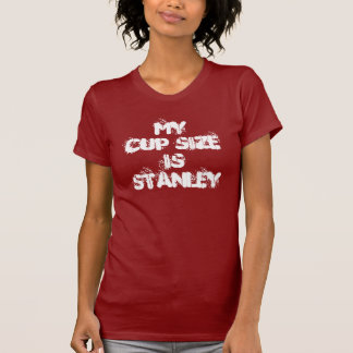 T-shirts finais do hóquei de Stanley Cup Chicago 2013