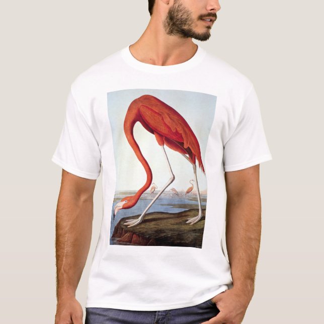 T-shirts Flamingo americano (Frente)