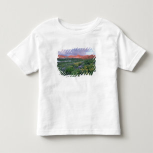T-shirts Fleabane-roxa (erigeron peregrinus) e Amarela