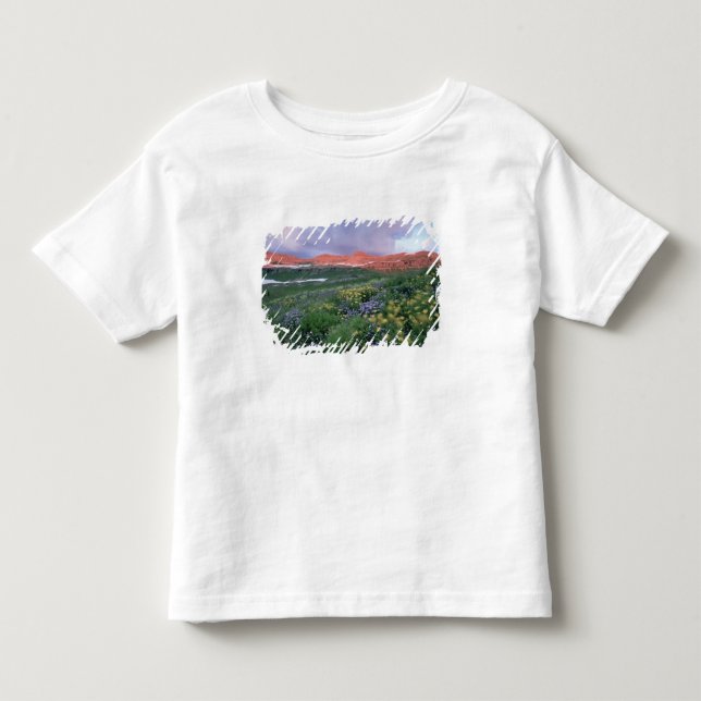 T-shirts Fleabane-roxa (erigeron peregrinus) e Amarela (Frente)