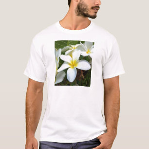T-shirts Flor branca do Plumeria de Havaí