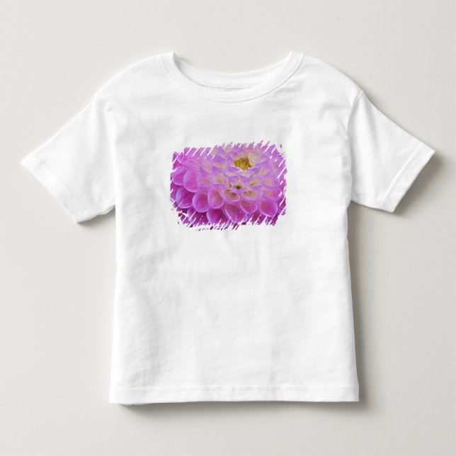 T-shirts Flor de crisântemo decorando túmulo em (Frente)