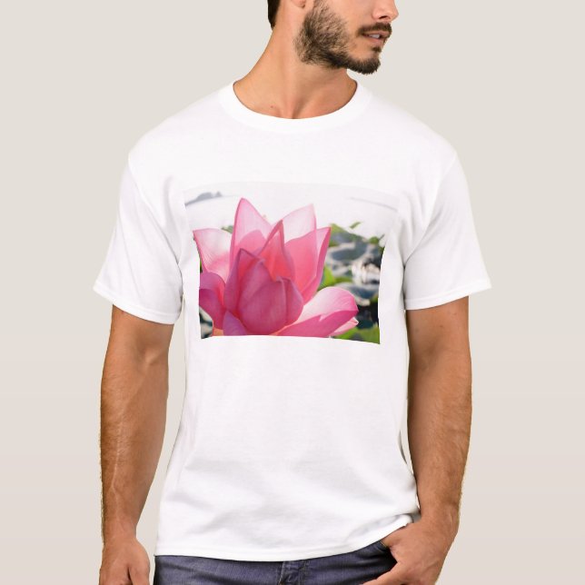 T-shirts Flor de lótus [Nelumbo speciosum] em cheio (Frente)