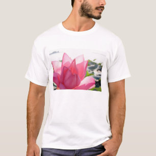 T-shirts flor de lótus [Nelumbo speciosum] em plena