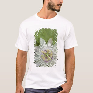 T-shirts Flor de Maracujá dos Galápagos Passiflora foetida