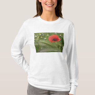 T-shirts Flor de papoula vermelha, Toscana, Itália