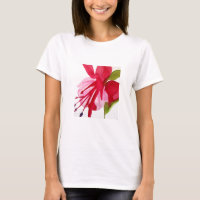 Flor de pop de cor da água rosa Fuchsia