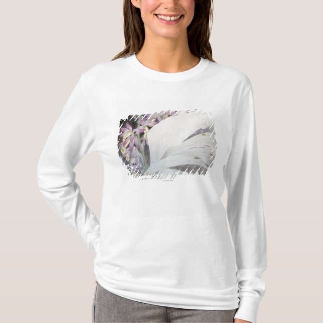 T-shirts Flor Seires II Phaiuses (Frente)