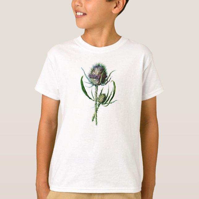 T-shirts Flor selvagem da antiguidade do cardo do Scottish (Frente)