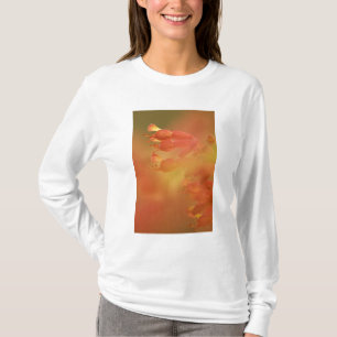 T-shirts flores abstratas de castanha-da-índia de Savannah 
