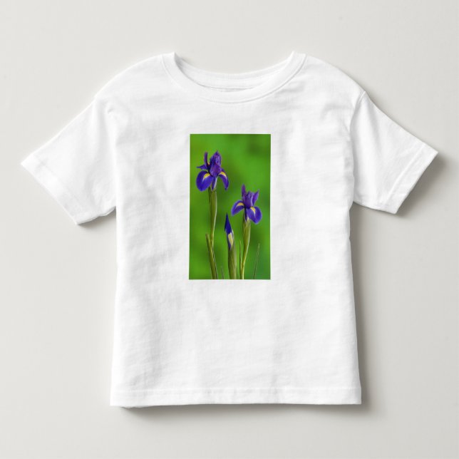 T-shirts Flores de Íris (Frente)
