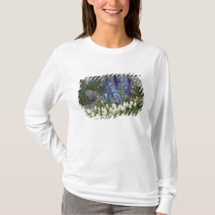 T-shirts Flores de primavera ao longo de um caminho de jard