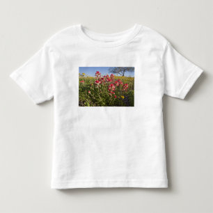 T-shirts Flores silvestres à beira da estrada no Texas, pri