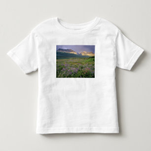 T-shirts Flores silvestres da pradaria ao longo do Lago She