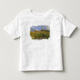 T-shirts Flores Silvestres da Pradaria no Vale de Many Glac