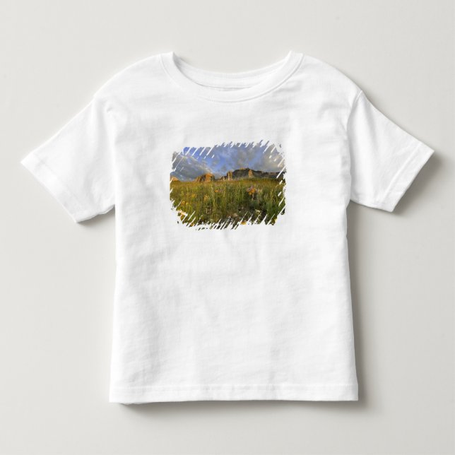 T-shirts Flores Silvestres da Pradaria no Vale de Many Glac (Frente)