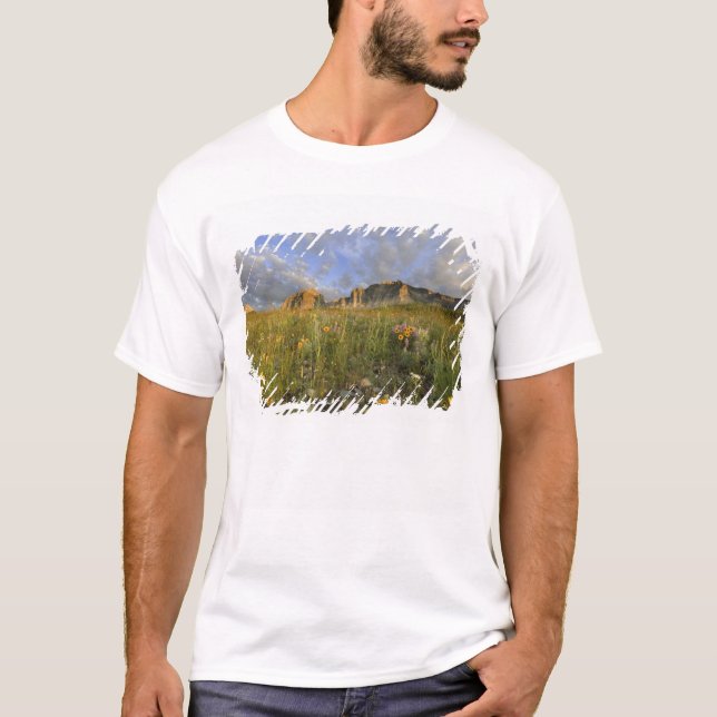 T-shirts Flores Silvestres da Pradaria no Vale de Many Glac (Frente)