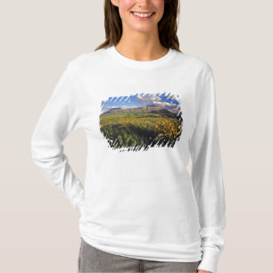T-shirts Flores silvestres de balsomroot de folha de seta e