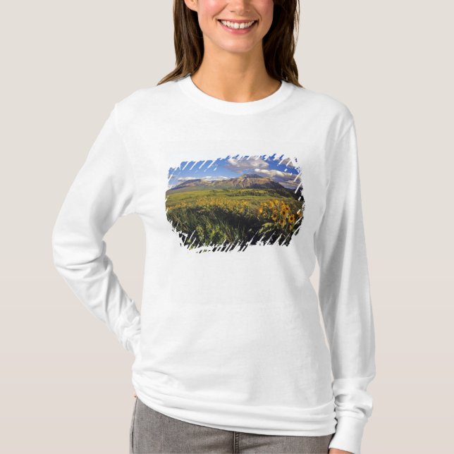 T-shirts Flores silvestres de balsomroot de folha de seta e (Frente)