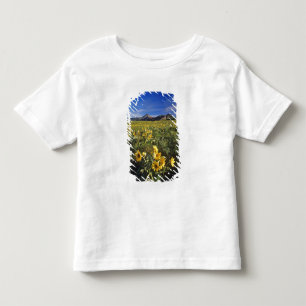 T-shirts Flores silvestres de balsomroot de folha de seta e