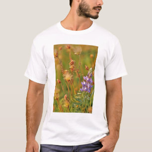 T-shirts Flores silvestres Lupine & Prairie Smoke em Montan
