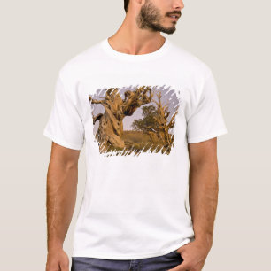 T-shirts Floresta Antiga de Bristlecone, Montanhas Brancas,