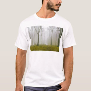 T-shirts Floresta fantasia com neblina e folhagem amarela