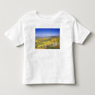 T-shirts Floresta Nacional Routt no outono, perto