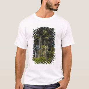 T-shirts Floresta tropical à beira do rio Rewa, Guiana
