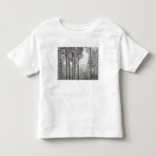 T-shirts Floresta verde no inverno