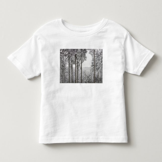 T-shirts Floresta verde no inverno (Frente)