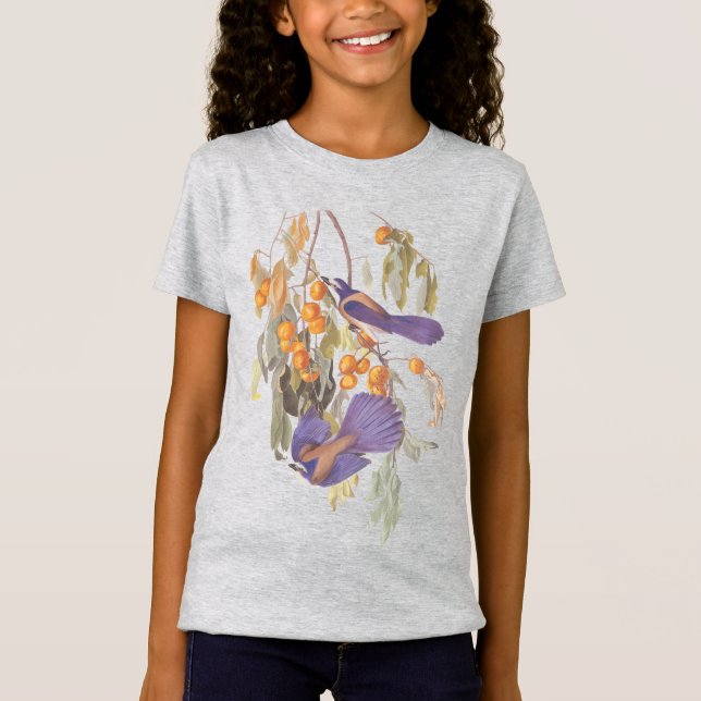 T-shirts Flórida Scrub Jay Audubon Birds em Orange Tree (Frente)