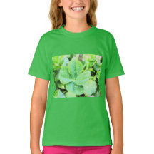 FLOVER DE QUATRO FOLHAS