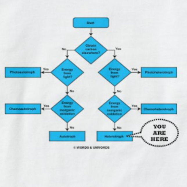 T-shirts Fluxograma Heterotroph Você Está Aqui Humor Biológ (Heterotroph flow chart with "You Are Here" callout on this tee for any heterotroph)