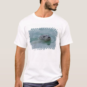 T-shirts Foca-comum nadando no lago glacial Jokulsarlon
