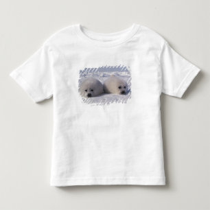 T-shirts Foca-da-groenlândia (Phoca groenlandica) Filhotes