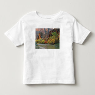 T-shirts Folhagem de outono ao longo do rio Virgin perto do