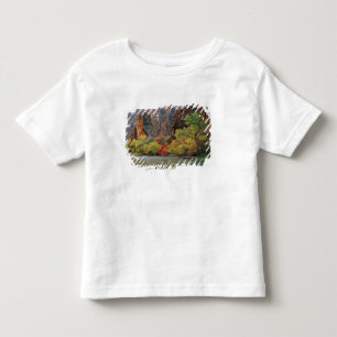 T-shirts Folhagem de outono ao longo do rio Virgin perto do