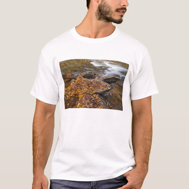T-shirts Folhas de outono ao longo do Looking Glass Creek n (Frente)