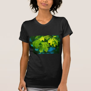 T-shirts Folhas frescas de carvalho verde